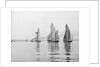 A tug and sailing vessels on the River Torridge off Appledore in Devon by unknown