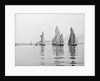 A tug and sailing vessels on the River Torridge off Appledore in Devon by unknown