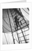 A seaman enticing the ship's cat up one of the shrouds of 'Pommern' (Fi, 1903) 4 masted barque, ex 'Mneme', Gustaf Erikson by Unknown