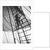 A seaman enticing the ship's cat up one of the shrouds of 'Pommern' (Fi, 1903) 4 masted barque, ex 'Mneme', Gustaf Erikson by Unknown