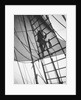 A seaman enticing the ship's cat up one of the shrouds of 'Pommern' (Fi, 1903) 4 masted barque, ex 'Mneme', Gustaf Erikson by Unknown