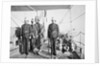 Crew of HMS 'Sphinx' (1882) by unknown