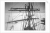 In the ice-pack, from the main-top of the 'Terra Nova' (1884) (Gran, Taylor & Wright on yard) by Herbert George Ponting