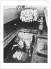 Unloading frozen meat from the 'Clan MacDougall' in 1877 by unknown