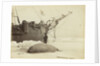 Walrus killed in Franklin Pierce Bay, 10 August 1875 by George White