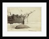 Walrus killed in Franklin Pierce Bay, 10 August 1875 by George White