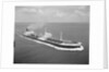 A starboard bow view of 'Amastra' (1958); Under way in the Strait of Malacca. by Unknown
