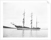 The 'Giuseppe D'Abundo' (Italy 1885) at anchor by unknown