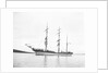 The 'Giuseppe D'Abundo' (Italy 1885) at anchor by unknown