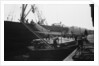 Discharging deals and timber products at Russia Dock by Browne Collection