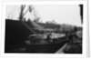Discharging deals and timber products at Russia Dock by Browne Collection
