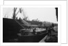 Discharging deals and timber products at Russia Dock by Browne Collection