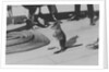 Wallaby on HMS 'Renown' (1916) during her 1920 tour of Australia and New Zealand by unknown