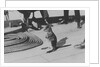 Wallaby on HMS 'Renown' (1916) during her 1920 tour of Australia and New Zealand by unknown