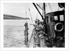 Salvaged gun brought up from the wreck of HMS Anson (1781) by Gibson & Sons of Scilly
