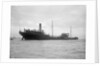 A starboard quarter view of the US tanker 'Gulflight' (1914) after having been torpedoed by Gibson's of Scilly Shipwreck Collection