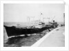 'Wave Premier' (Br, 1946) by Unknown