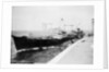'Wave Premier' (Br, 1946) by Unknown