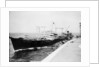 'Wave Premier' (Br, 1946) by Unknown