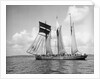 'Mary Millar' 3 masted topsail schooner, at sail off Mevagissey bound for Runcorn with a cargo of china clay by Unknown