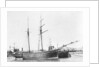 Photograph of the vessel 'Little Gem' (1893) by unknown