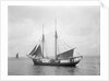 The 2 masted schooner 'Rothersand' (Britain, 1907), ex 'Heinrich Linnemann', Albert Westcott (Plymouth) by unknown