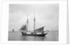 The 2 masted schooner 'Rothersand' (Britain, 1907), ex 'Heinrich Linnemann', Albert Westcott (Plymouth) by unknown