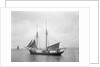The 2 masted schooner 'Rothersand' (Britain, 1907), ex 'Heinrich Linnemann', Albert Westcott (Plymouth) by unknown