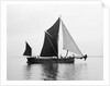 'Phoenician' (Br, 1922) spritsail barge, under sail during Thamse barge race by unknown