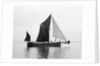 'Phoenician' (Br, 1922) spritsail barge, under sail during Thamse barge race by unknown