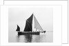 'Phoenician' (Br, 1922) spritsail barge, under sail during Thamse barge race by unknown