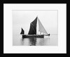 'Phoenician' (Br, 1922) spritsail barge, under sail during Thamse barge race by unknown