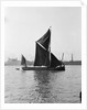 'Pimlico' (Br, 1914) spritsail barge, under sail off Greenwich by Unknown