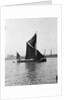 'Pimlico' (Br, 1914) spritsail barge, under sail off Greenwich by Unknown