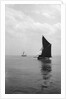 'Sara' (Br, 1902) under sail during Thames barge race by unknown