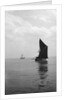 'Sara' (Br, 1902) under sail during Thames barge race by unknown