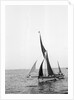 'Sara' (Br, 1902) under sail during Thames barge race by unknown