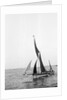 'Sara' (Br, 1902) under sail during Thames barge race by unknown
