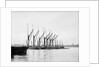 Topsail barges by Unknown
