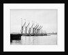 Topsail barges by Unknown