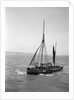 The Brixham trawler 'Provident'  (Britain, 1924), William Pillar, 5 Berry Head Road, Brixham by unknown