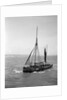 The Brixham trawler 'Provident'  (Britain, 1924), William Pillar, 5 Berry Head Road, Brixham by unknown