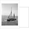 The Brixham trawler 'Provident'  (Britain, 1924), William Pillar, 5 Berry Head Road, Brixham by unknown