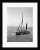 The Brixham trawler 'Provident'  (Britain, 1924), William Pillar, 5 Berry Head Road, Brixham by unknown