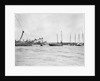 Douarnenez lugger by unknown