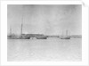 Douarnenez lugger by unknown