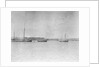 Douarnenez lugger by unknown