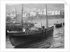 'Boy Willie', Mounts Bay mackerel driver, dried out in Mousehole harbour by unknown
