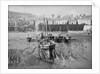 'Boy Willie' Mounts Bay mackerel driver by unknown