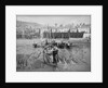 'Boy Willie' Mounts Bay mackerel driver by unknown